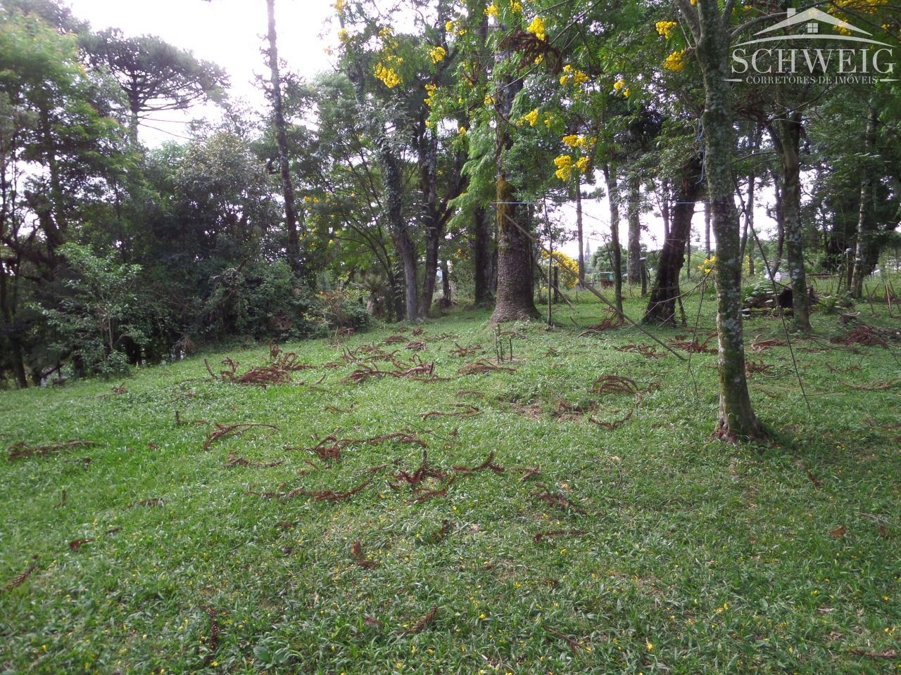 Terreno, 4567 m² - Foto 28