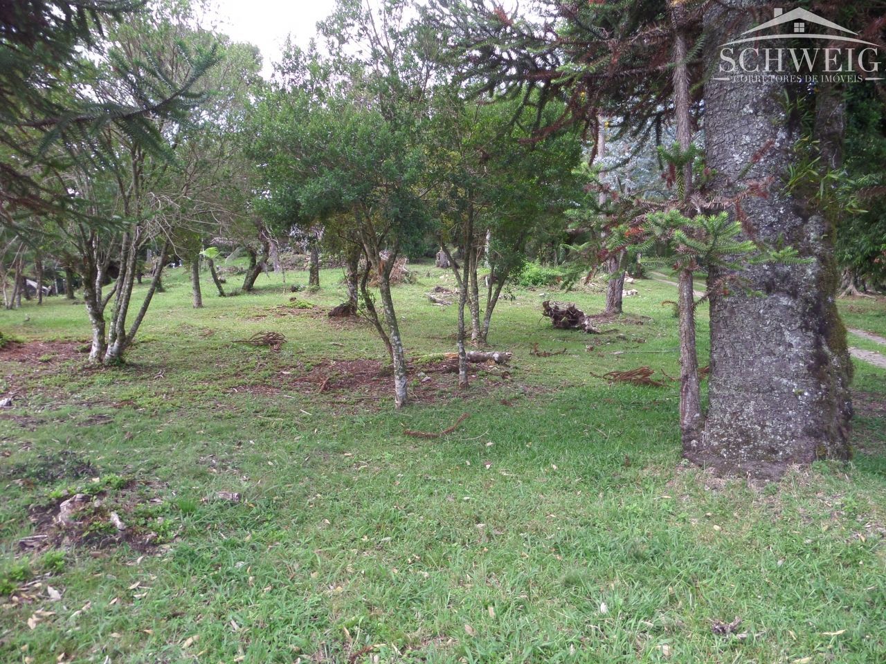 Terreno, 4567 m² - Foto 14