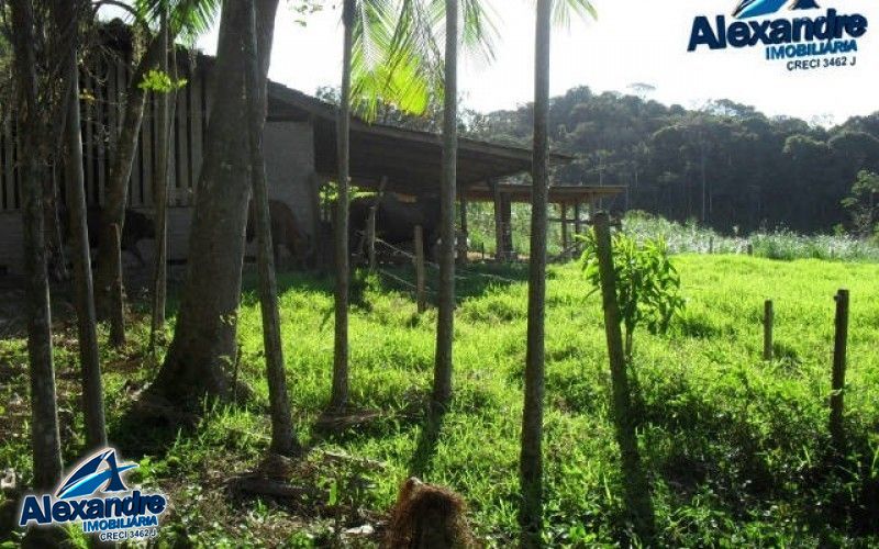 Fazenda à venda com 3 quartos, 280000000m² - Foto 31