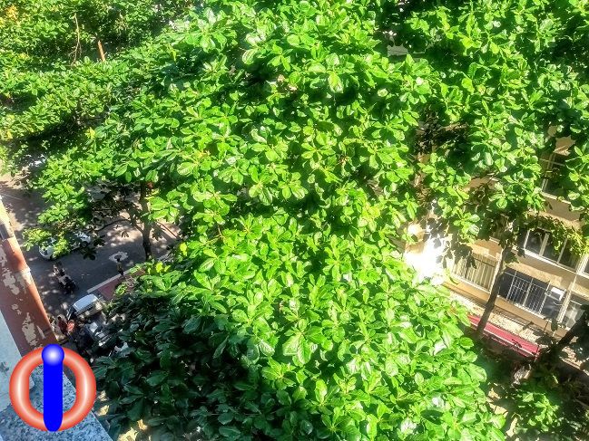 Apartamento, 1 quarto, 30 m² - Foto 26
