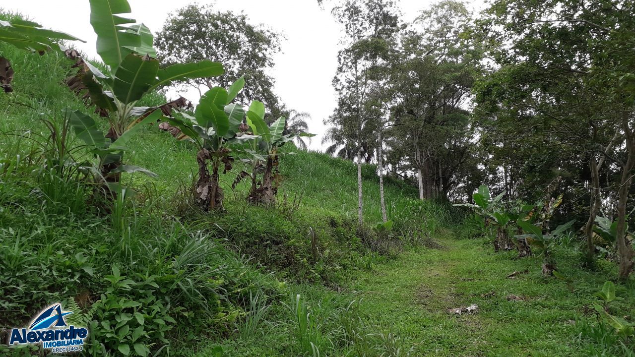 Sítio à venda com 3 quartos, 15000m² - Foto 13