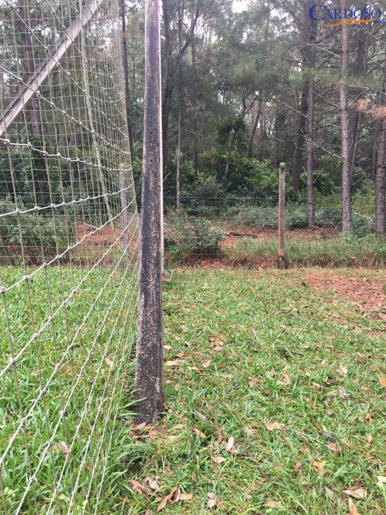 Sítio à venda com 2 quartos, 60000000m² - Foto 11