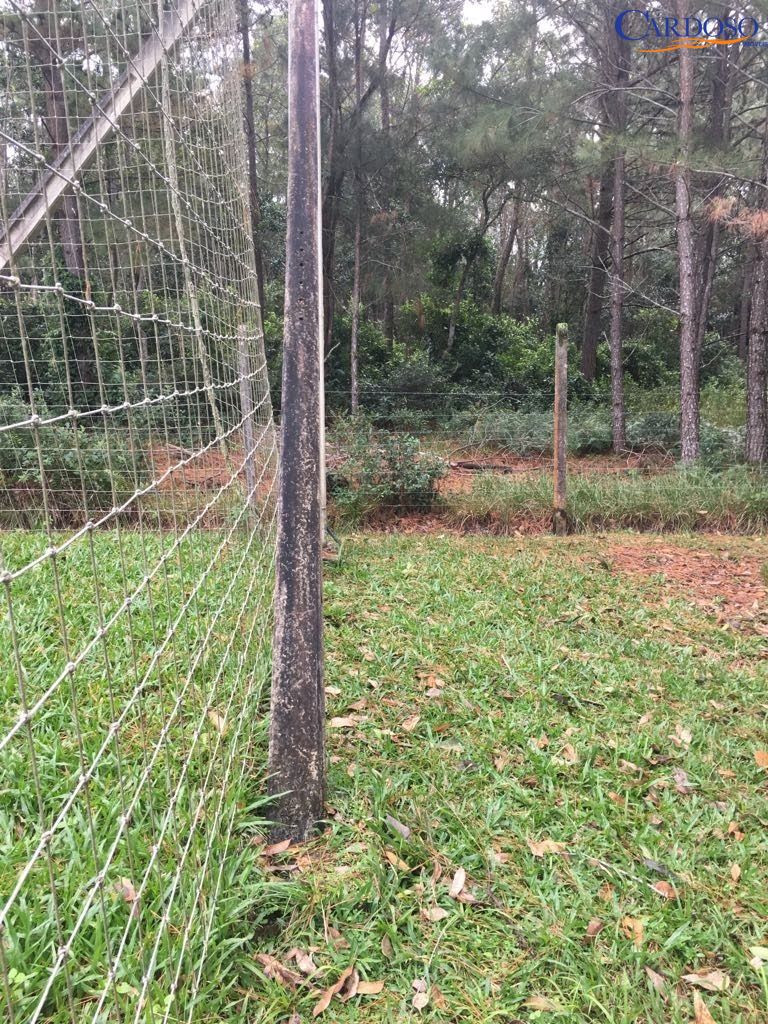 Fazenda à venda com 2 quartos, 60000000m² - Foto 11