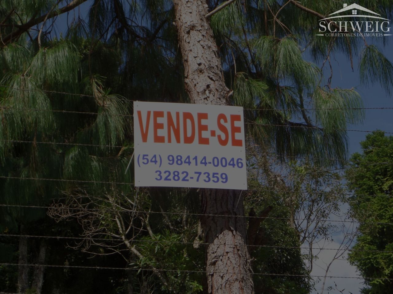 Terreno, 4567 m² - Foto 10