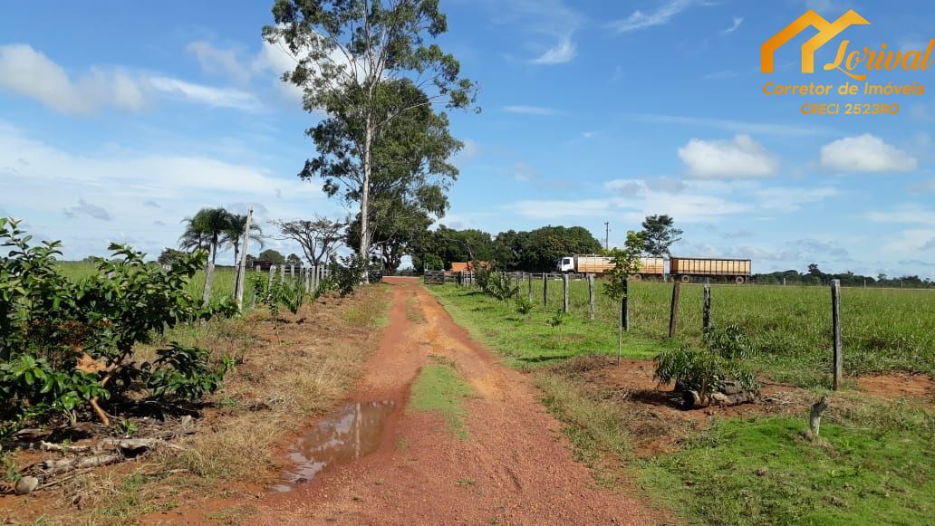 Fazenda-Sítio-Chácara, 247 hectares - Foto 3