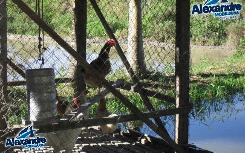 Fazenda à venda com 3 quartos, 280000000m² - Foto 18