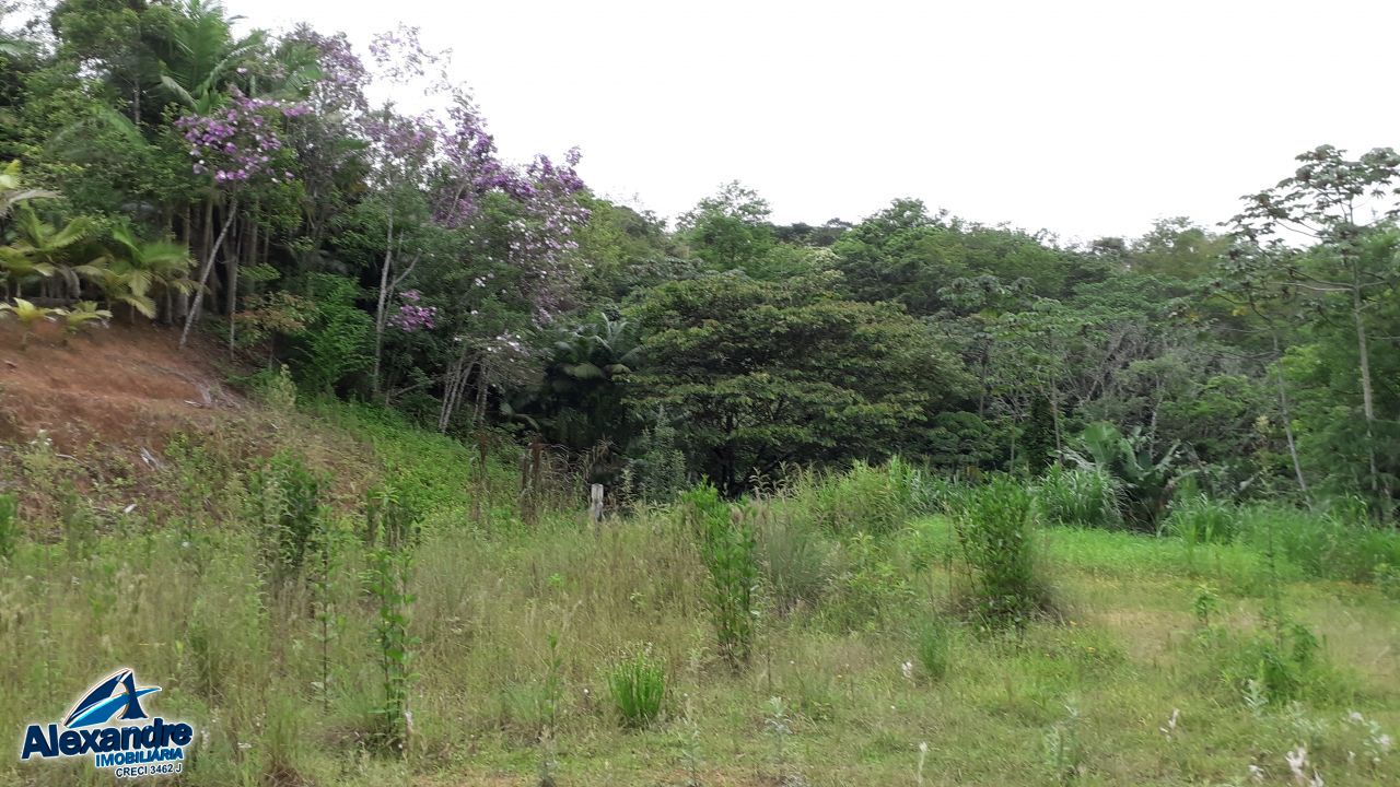 Sítio à venda com 3 quartos, 15000m² - Foto 15