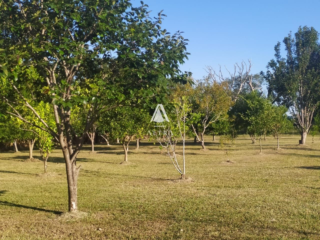 Fazenda à venda com 3 quartos, 150m² - Foto 13