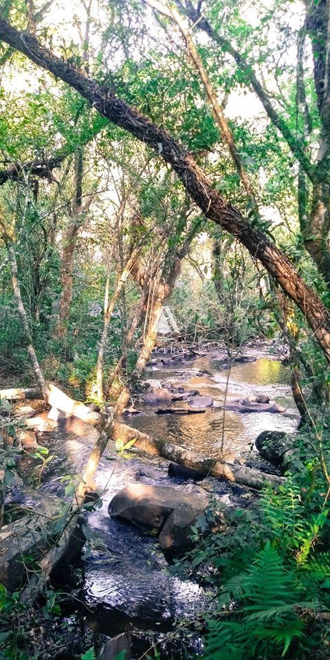 Terreno/Lote  venda  no Centro - Itaara, RS. Imveis