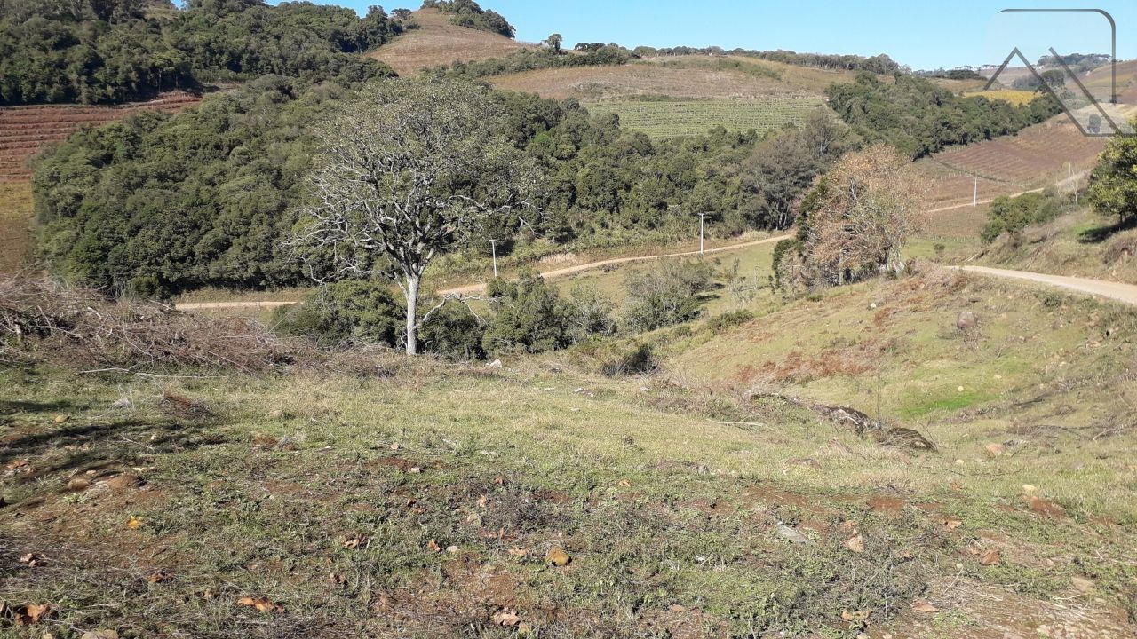 Fazenda à venda, 20000m² - Foto 1