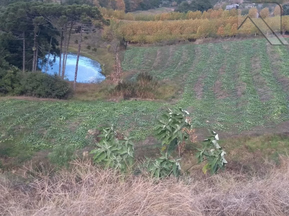 Fazenda à venda, 20000m² - Foto 4