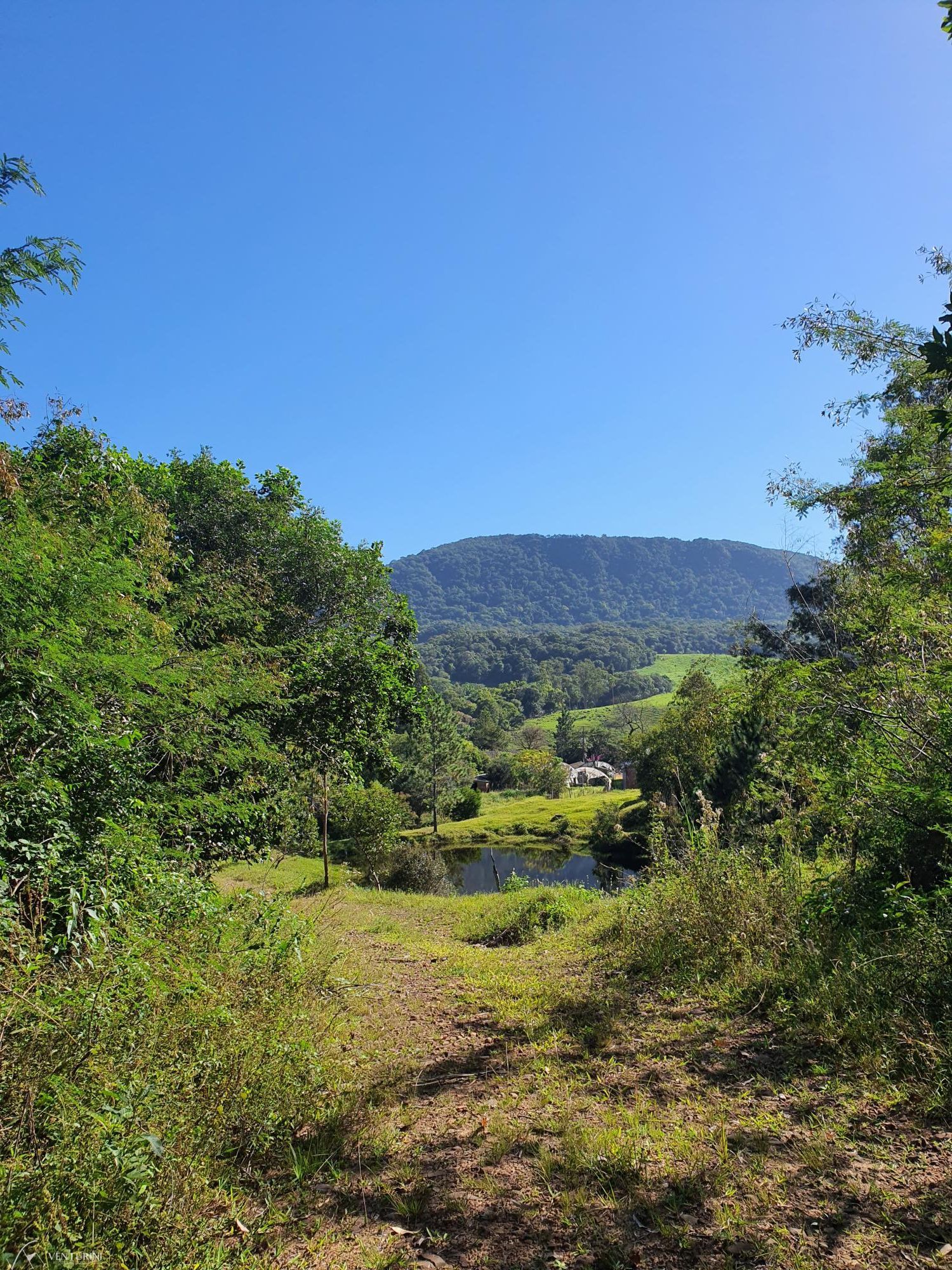 Fazenda à venda com 3 quartos, 308000000m² - Foto 5