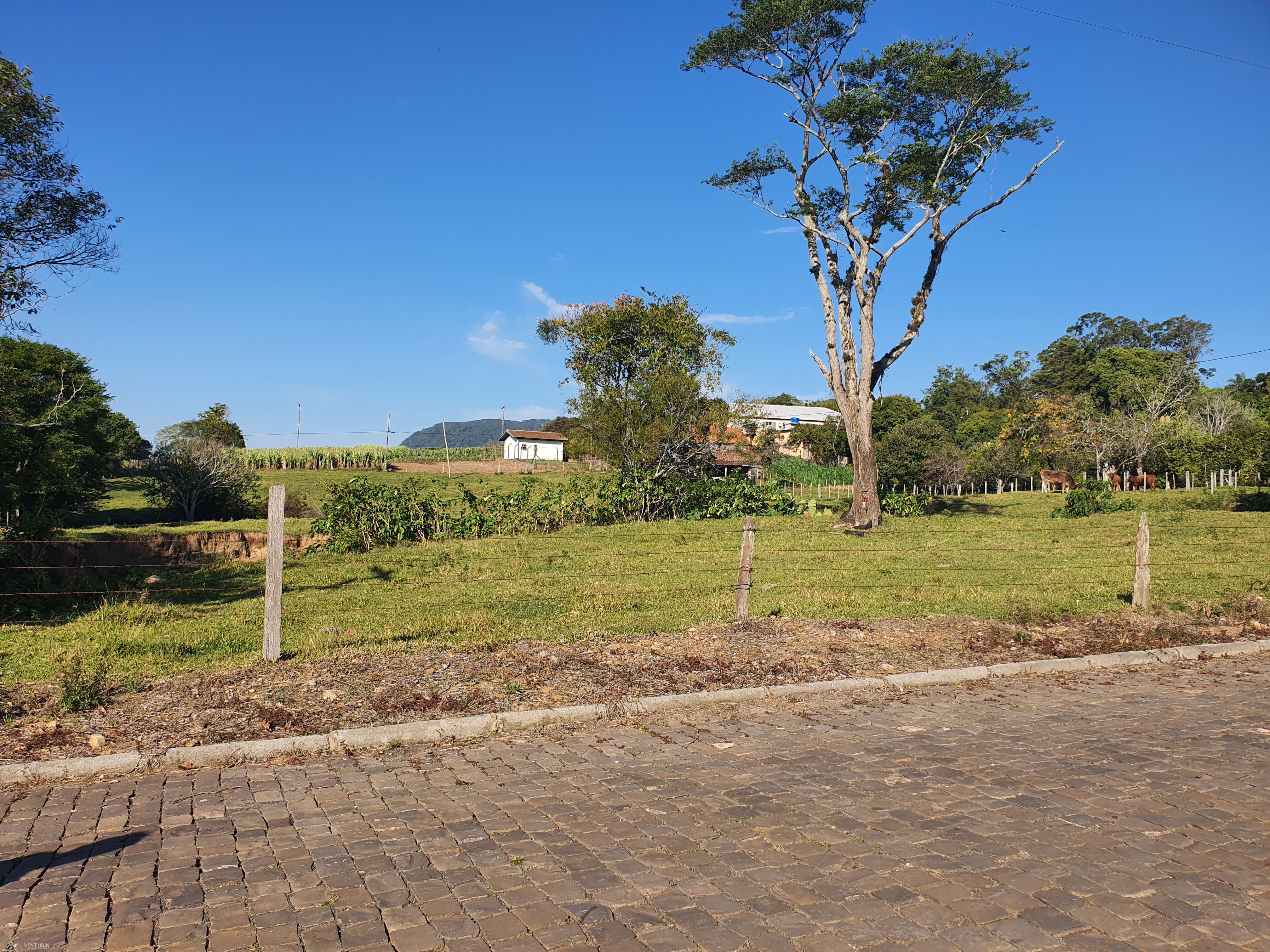 Terreno, 7197 m² - Foto 10