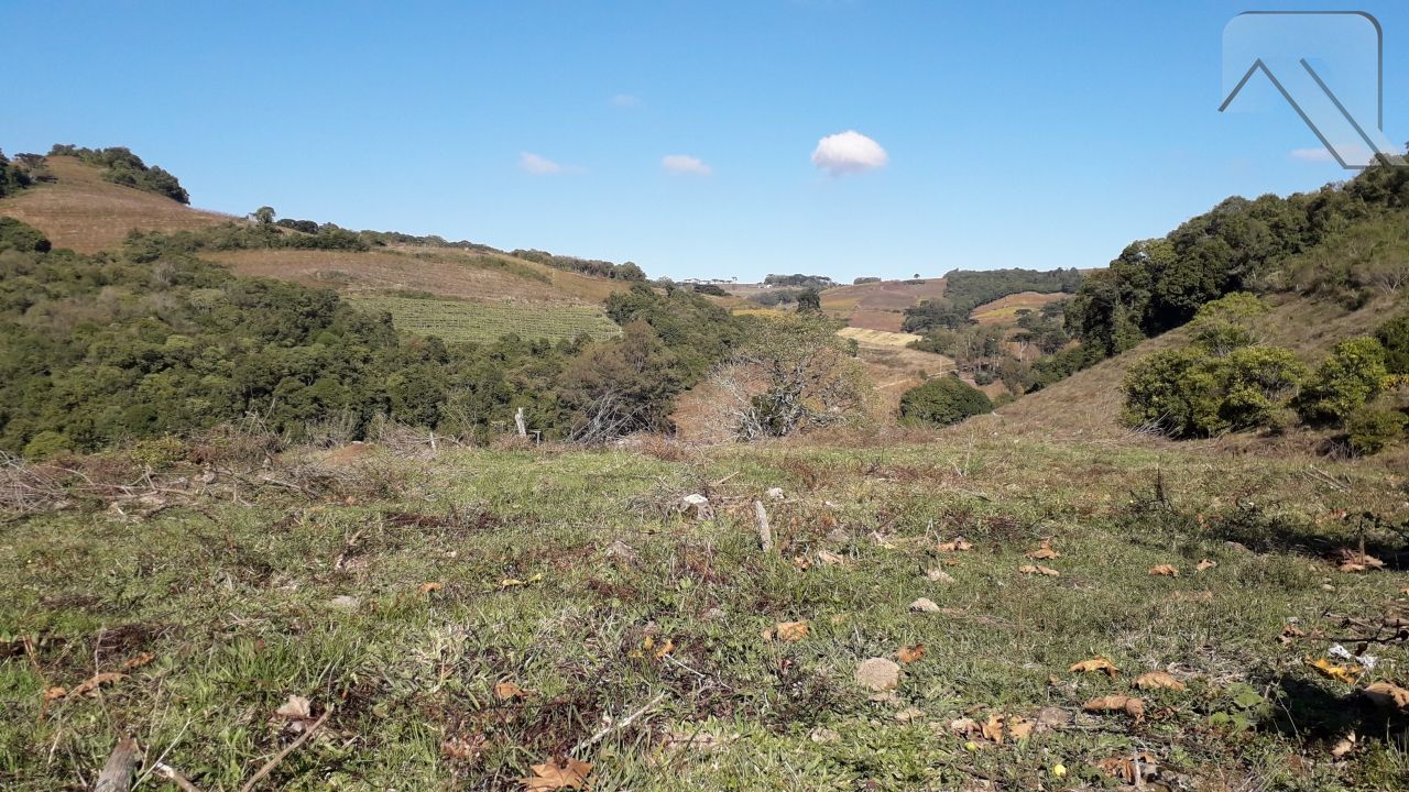 Fazenda à venda, 20000m² - Foto 2