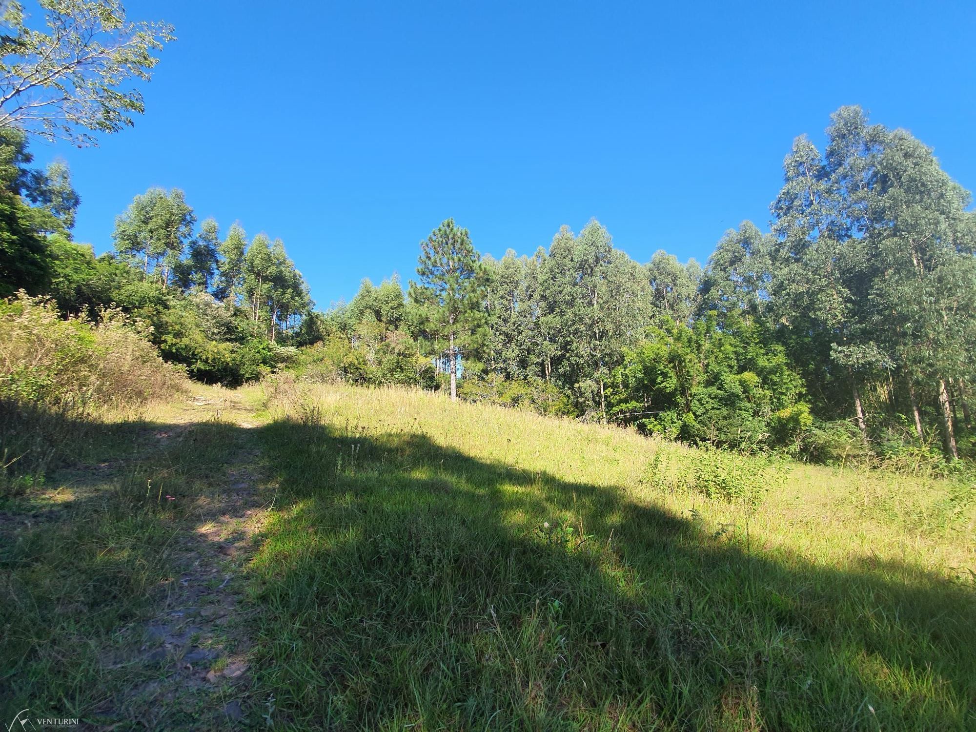 Fazenda à venda com 3 quartos, 308000000m² - Foto 9