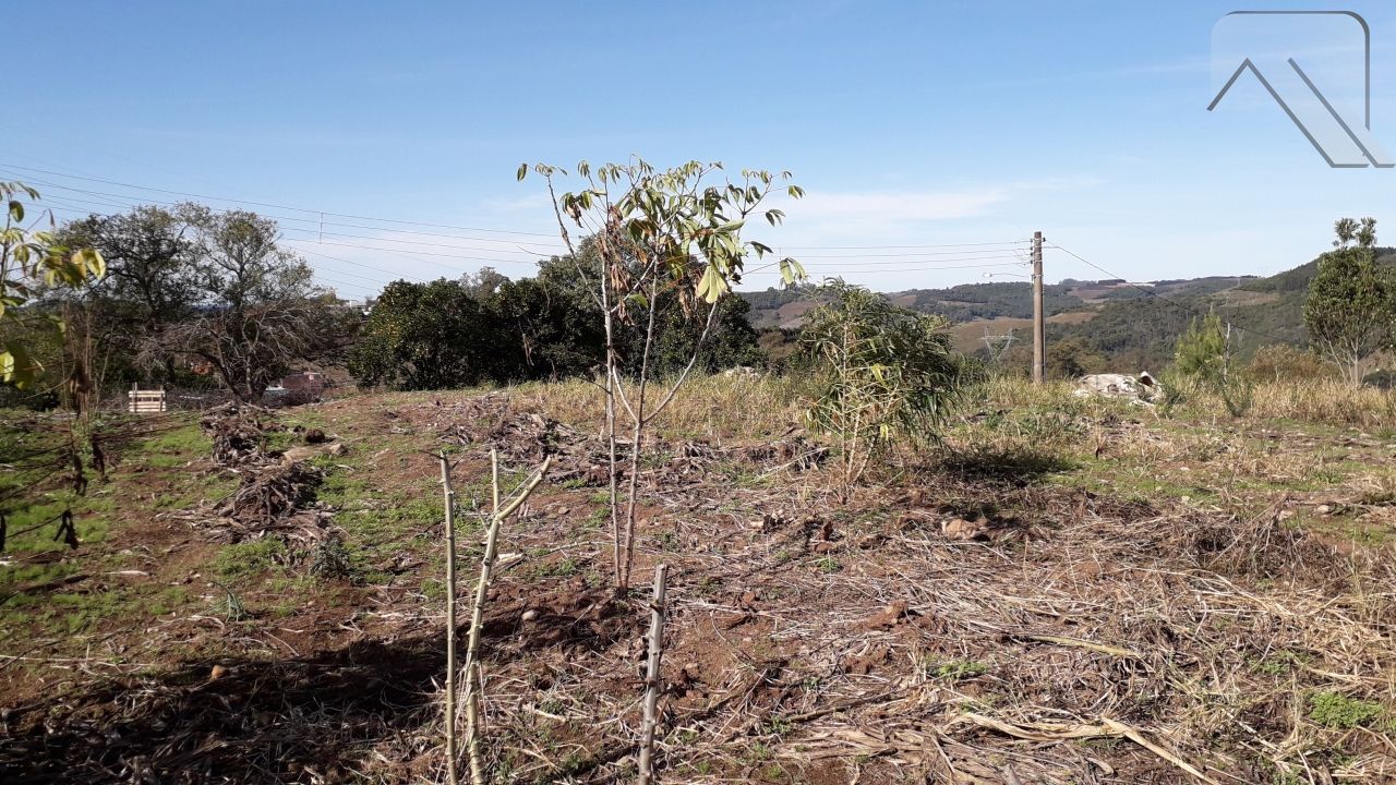 Terreno à venda, 320m² - Foto 3