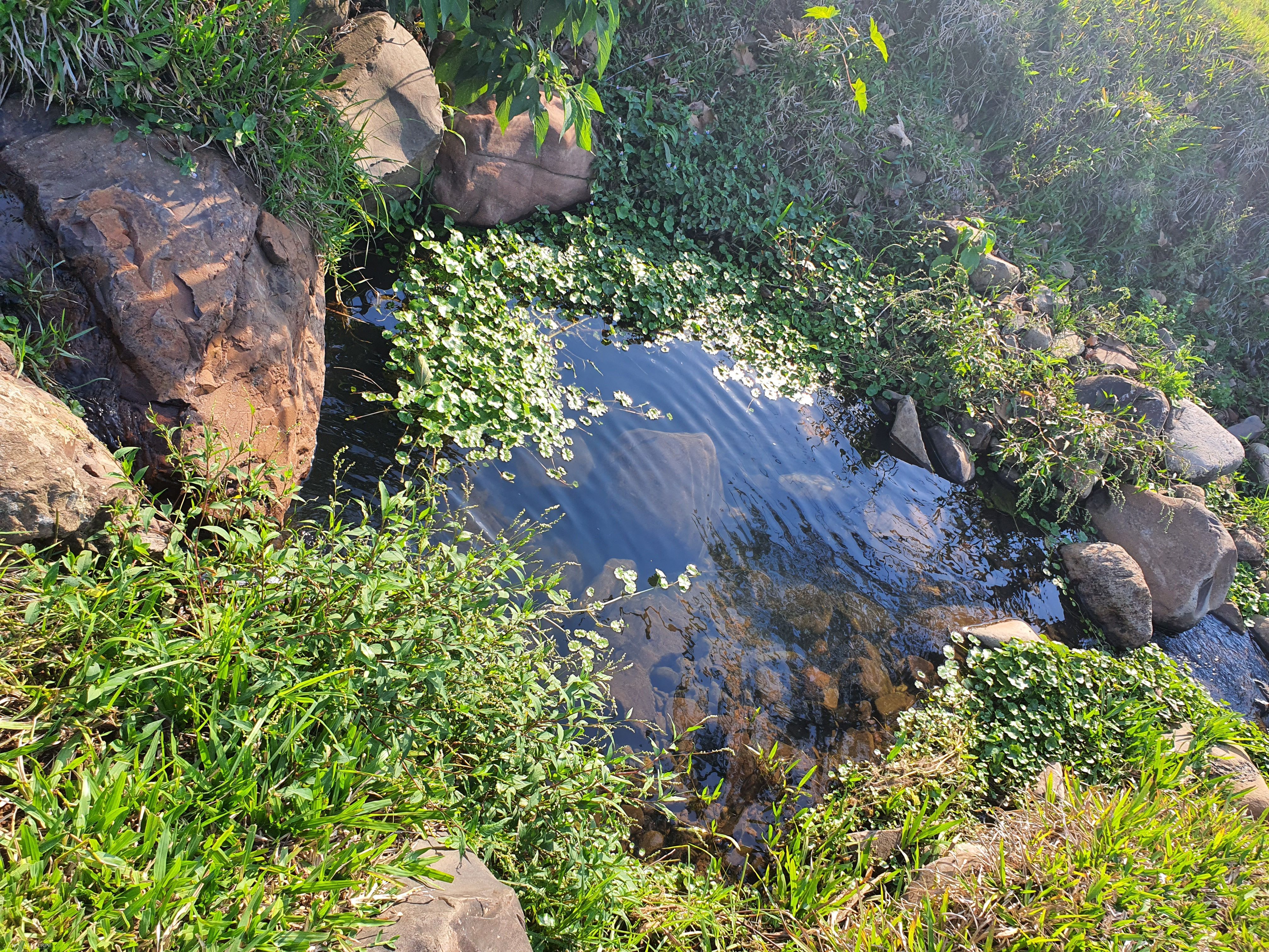 Terreno, 7197 m² - Foto 6