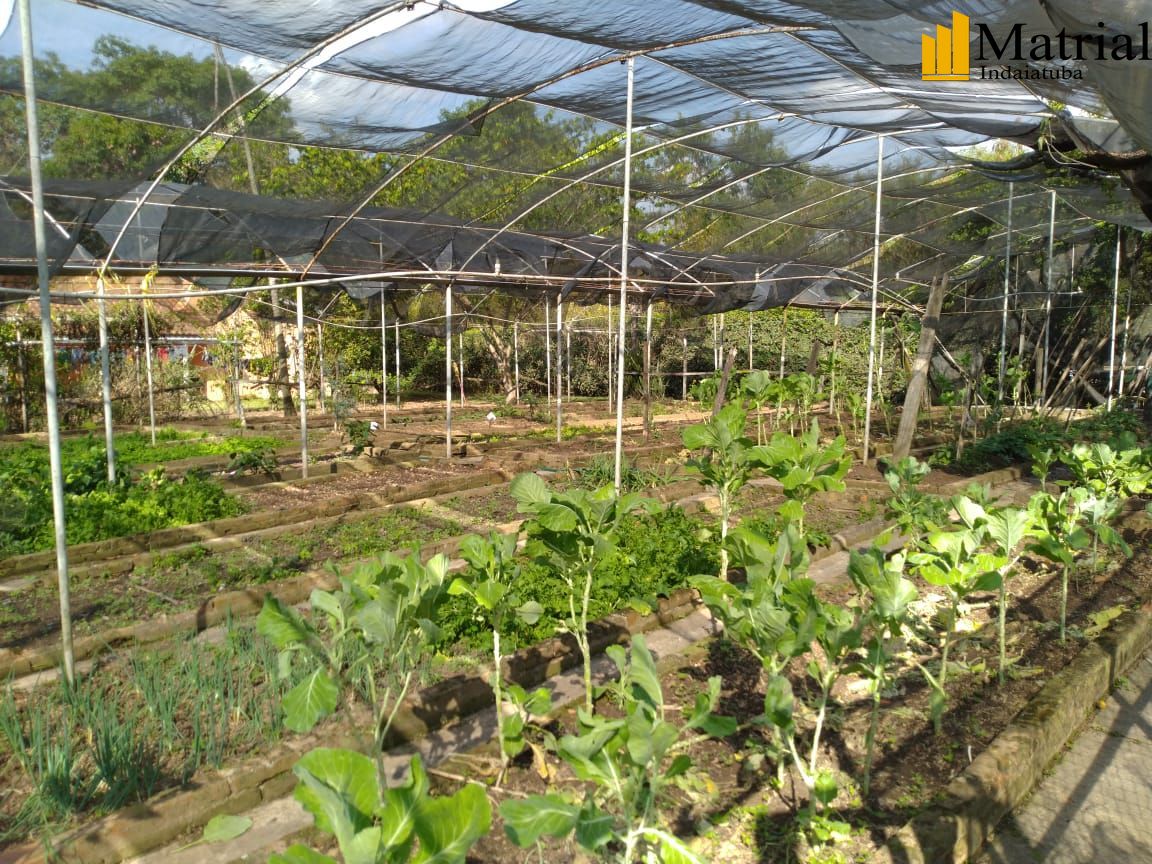 Chácara, 3 quartos, 20033 hectares - Foto 7