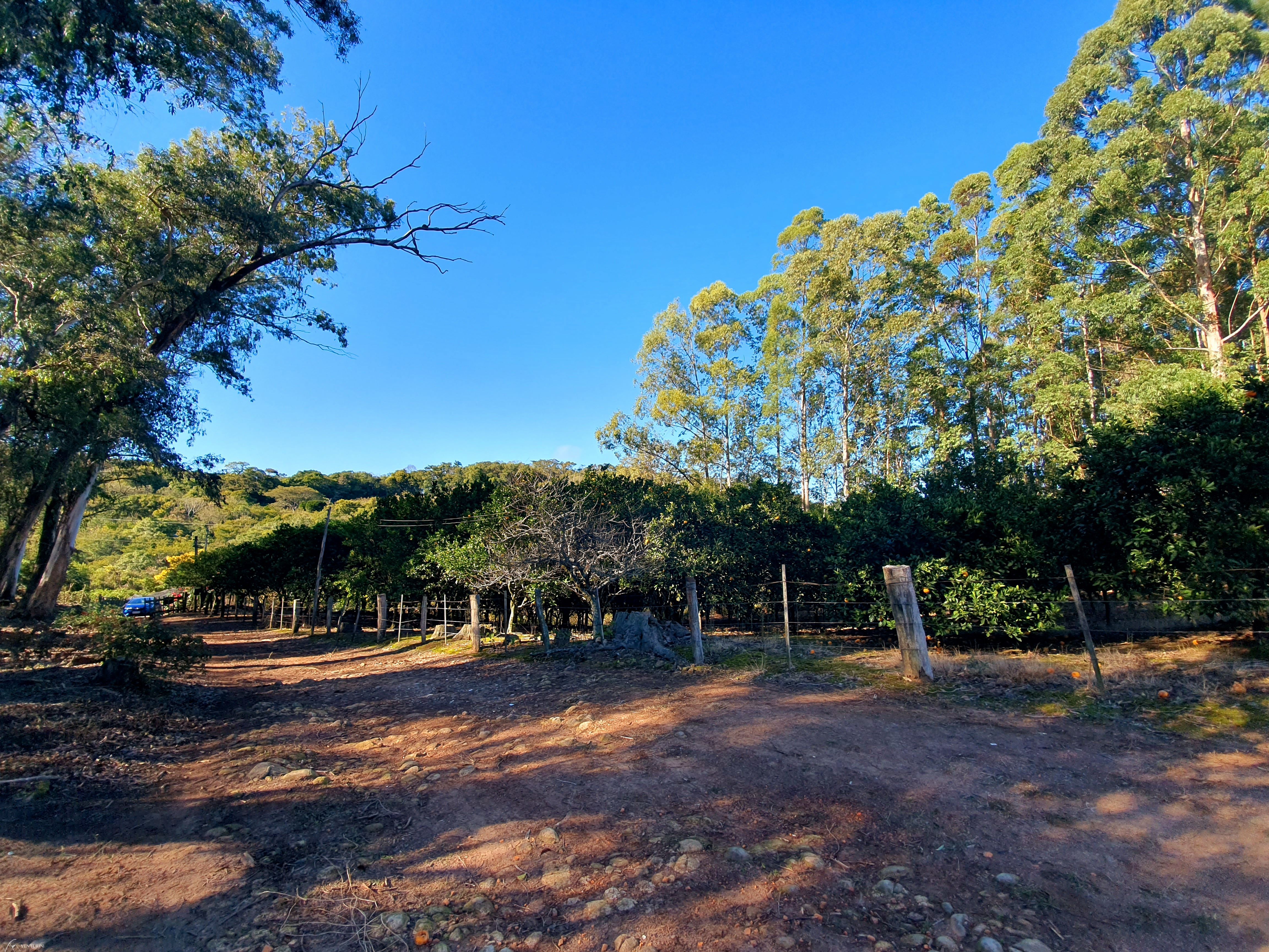Chácara à venda com 2 quartos, 3000000000m² - Foto 12