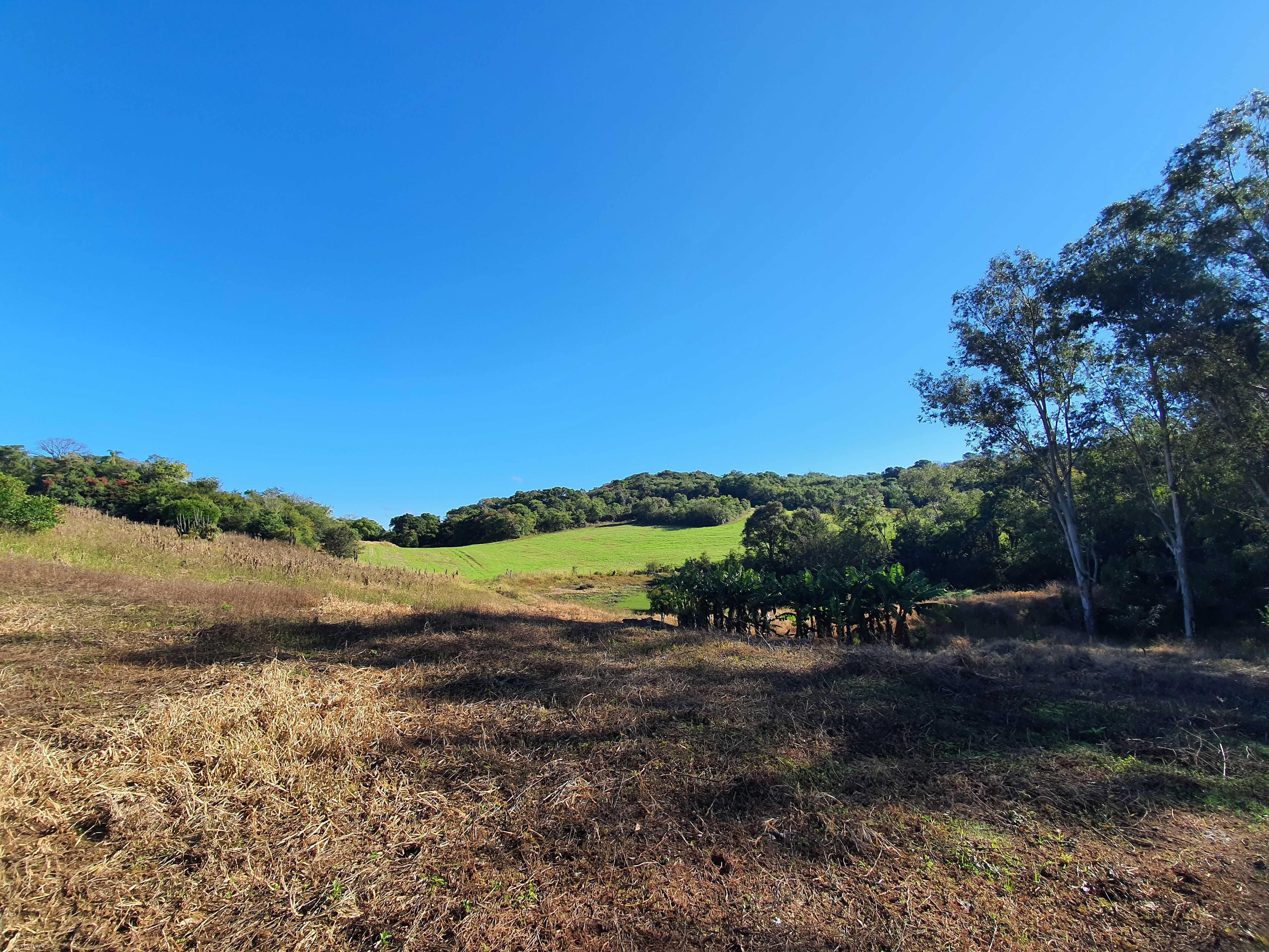 Chácara à venda com 2 quartos, 3000000000m² - Foto 8