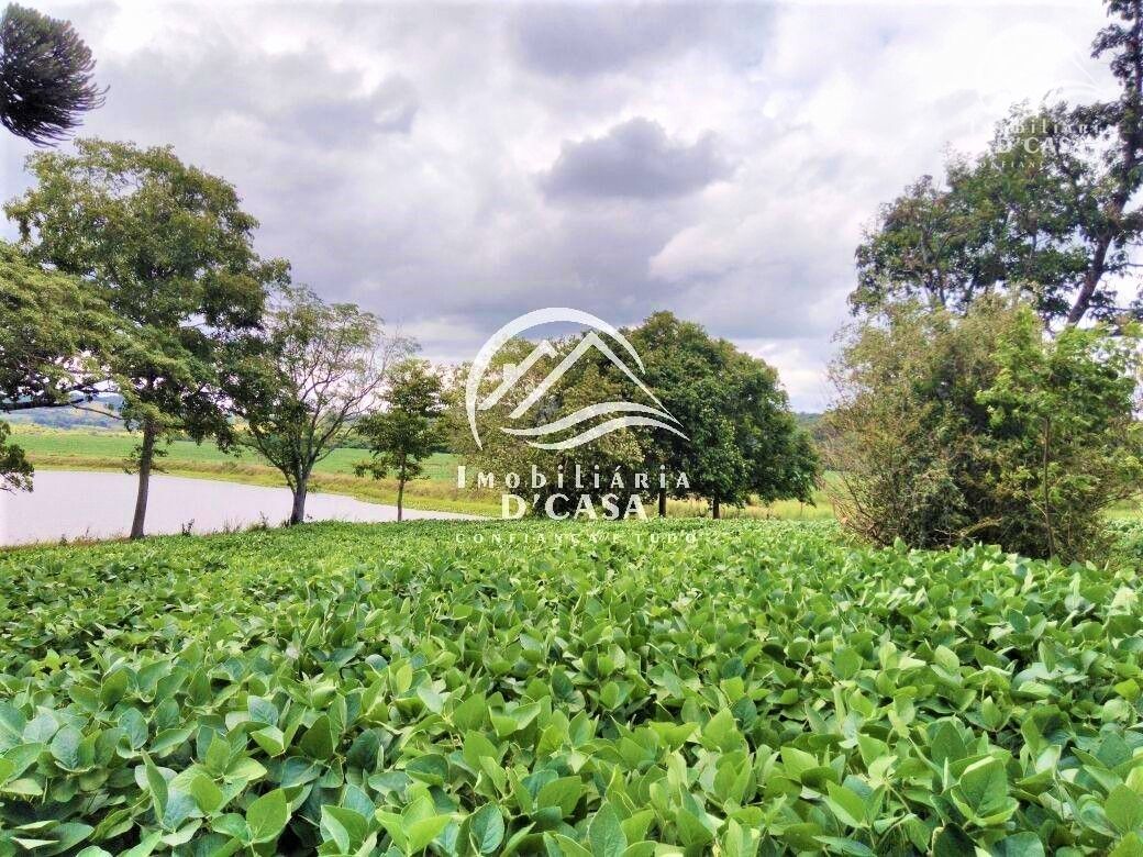 Fazendas - 6 Dorm.<br />Zona rural<br />Rio pardo<br /><br />FAZENDA - Localizada em Rio Pardo em direção ao parque da barragem, com apenas 10 km do centro, medindo 73 Hectares, aproveitáveis com 80% da área arrendada para plantio de soja, espaço físico para pecuária, criação de peixe, açudes, árvores frutíferas, ótima área de lazer, campo de futebol. Para mais informações entrar em contato. Sujeito a alteração de valor e disponibilidade. 0-0