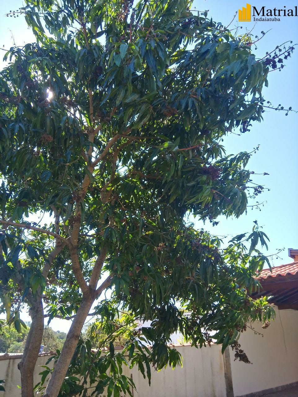 Chácara, 3 quartos, 1000 hectares - Foto 8