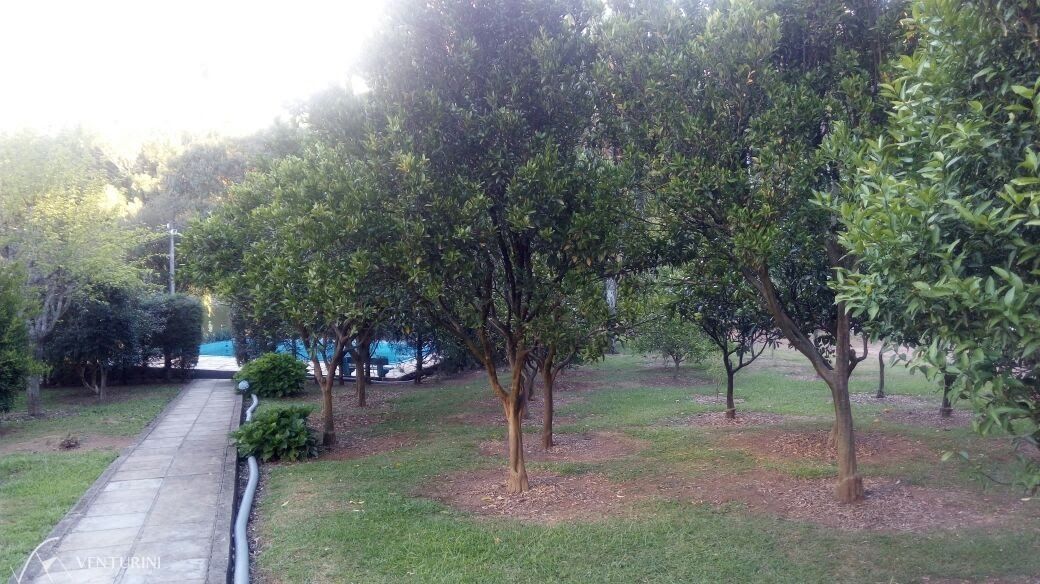 Chácara, 4 quartos, 40000 hectares - Foto 16