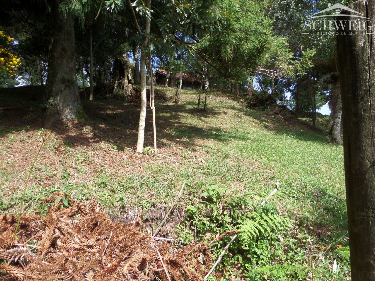 Terreno, 4567 m² - Foto 7