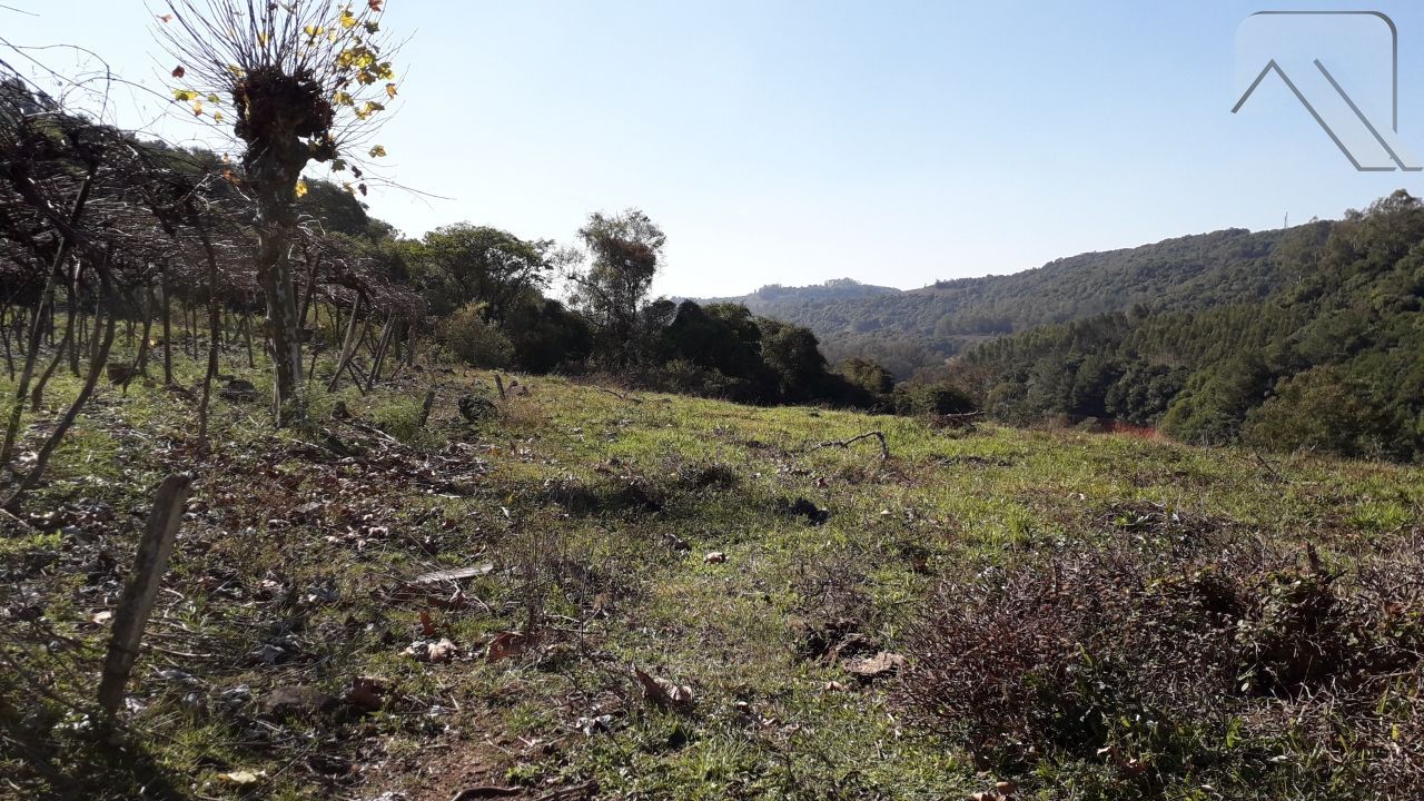 Fazenda à venda, 20000m² - Foto 3