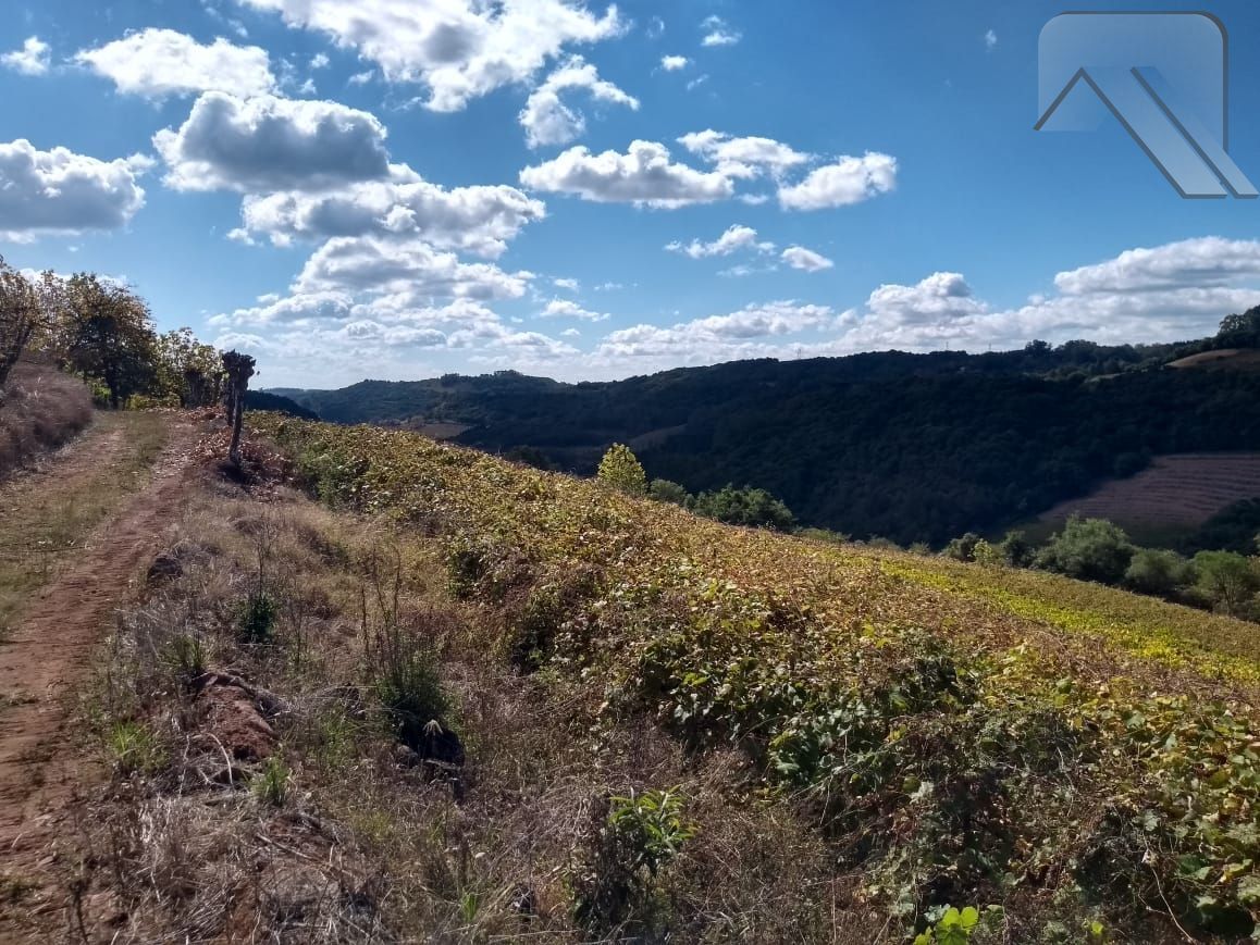 Fazenda à venda, 20000m² - Foto 2