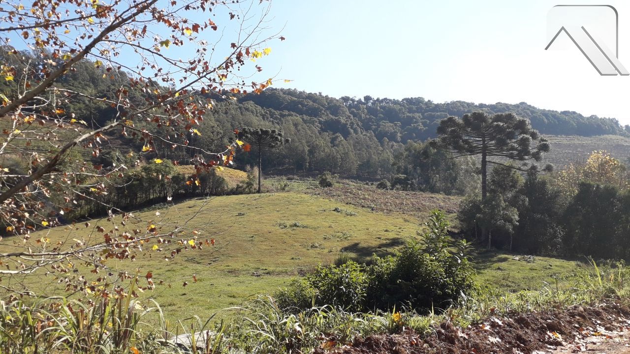 Sítio à venda, 20000m² - Foto 1