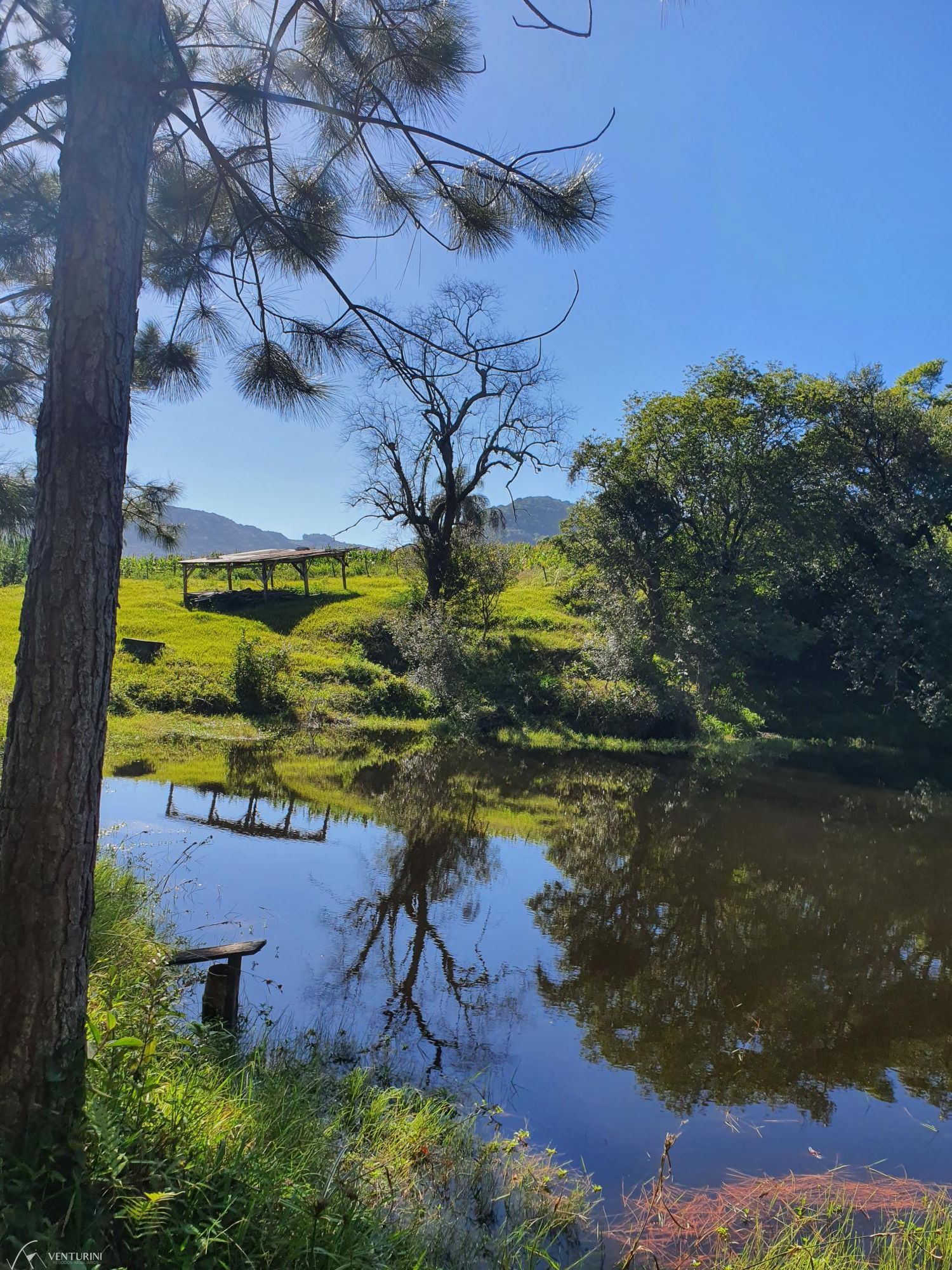 Fazenda à venda com 3 quartos, 308000000m² - Foto 6