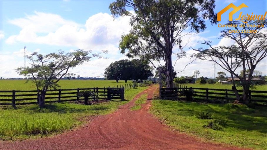 Fazenda-Sítio-Chácara, 247 hectares - Foto 1