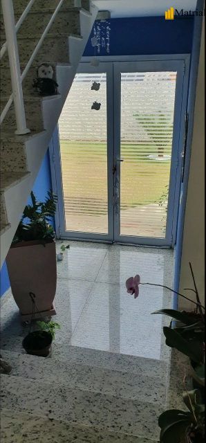 Chácara, 3 quartos, 1000 hectares - Foto 7