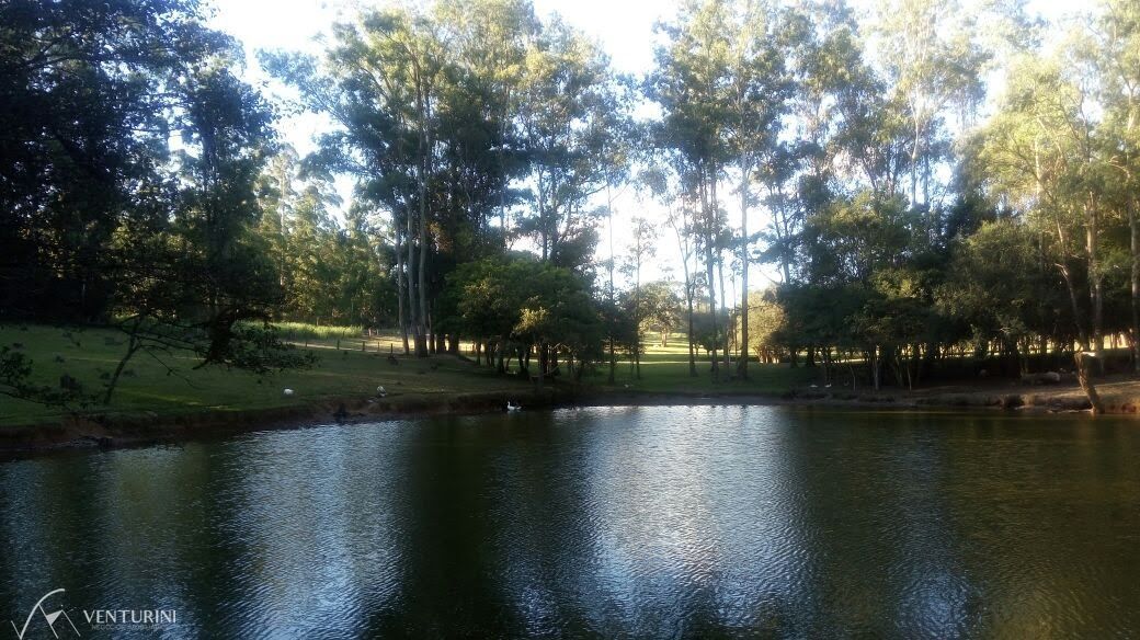 Chácara, 4 quartos, 40000 hectares - Foto 17