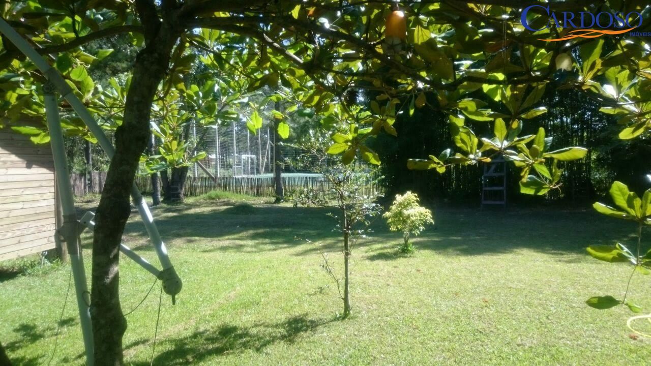 Sítio à venda com 2 quartos, 60000000m² - Foto 13