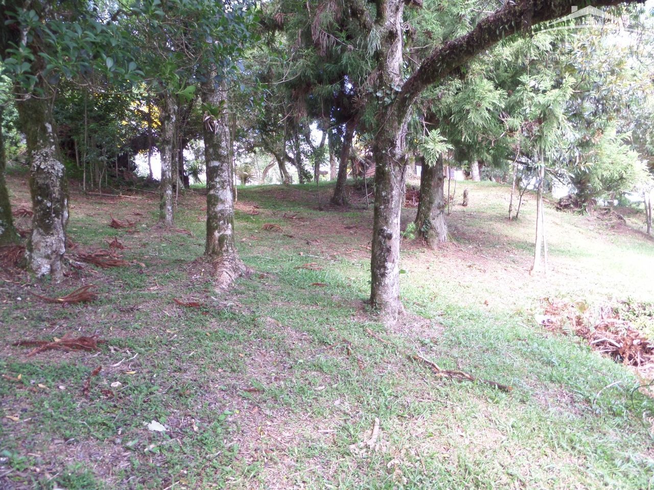 Terreno, 4567 m² - Foto 11