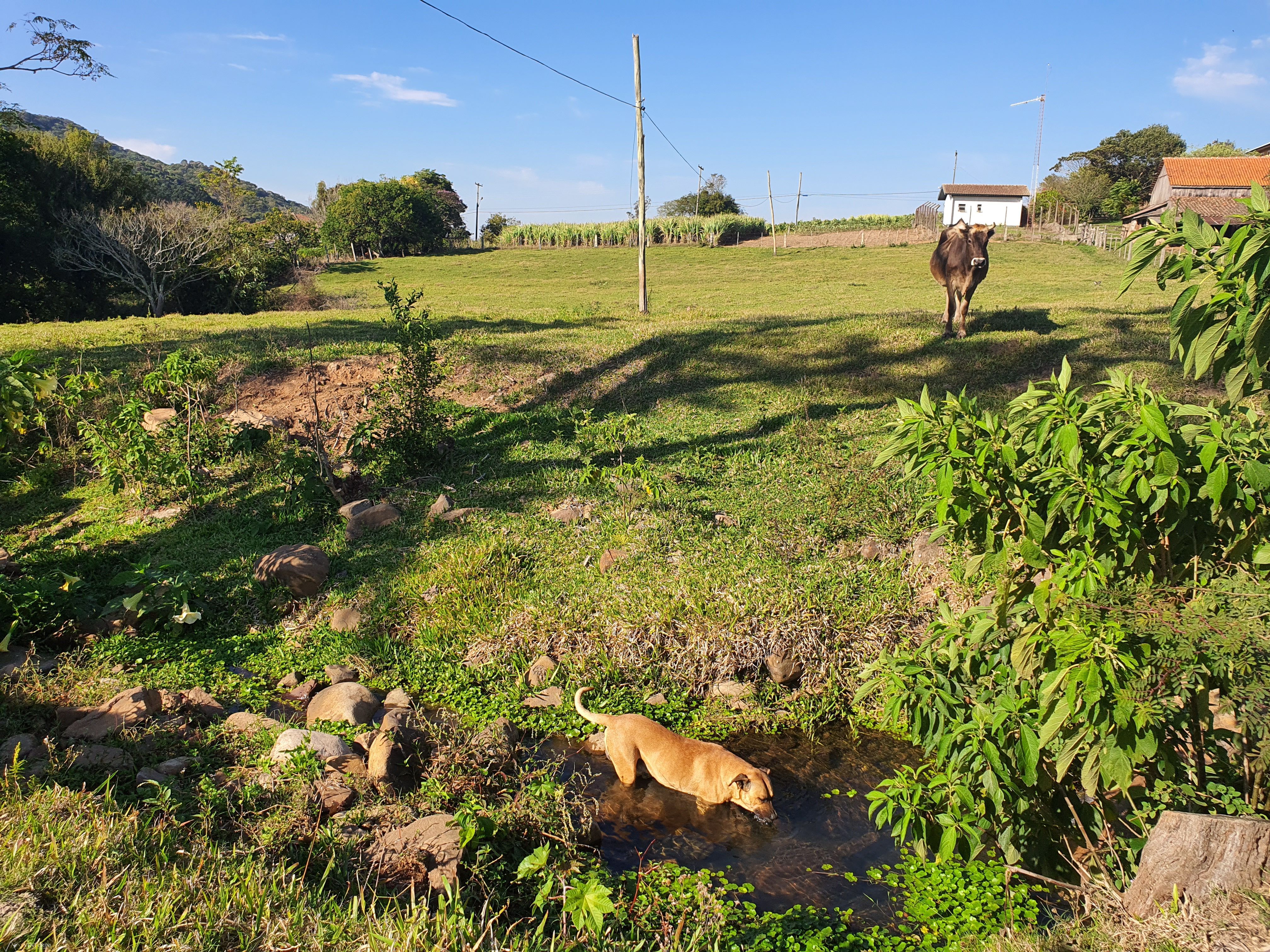 Terreno, 7197 m² - Foto 8