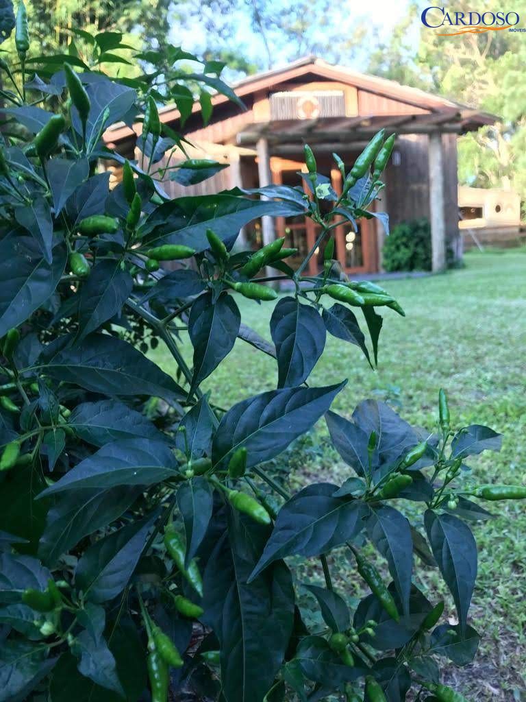 Sítio à venda com 2 quartos, 60000000m² - Foto 8