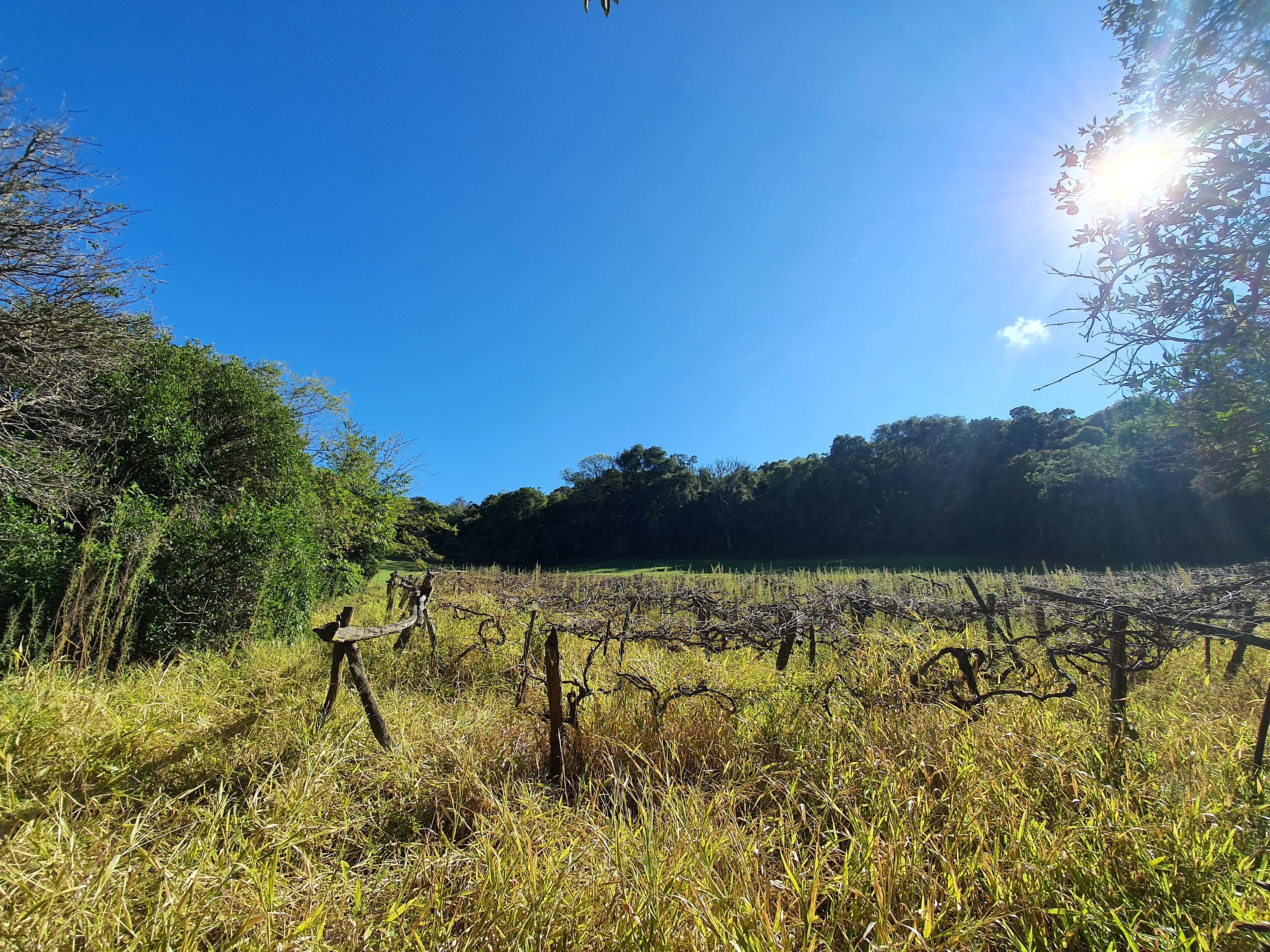 Fazenda à venda com 2 quartos, 3000000000m² - Foto 17