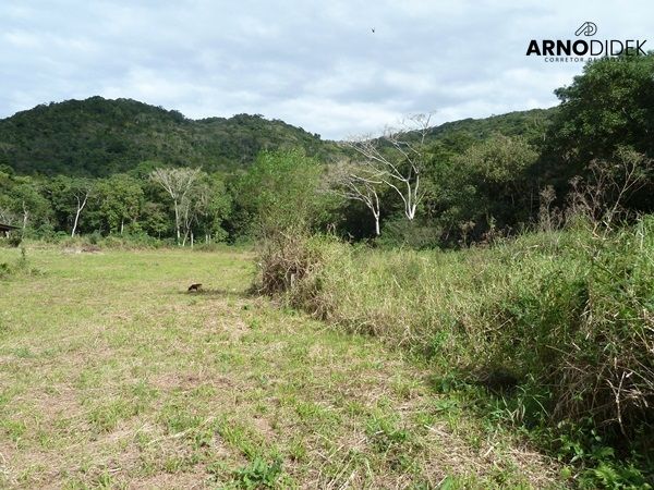 Terreno, 17 hectares - Foto 60