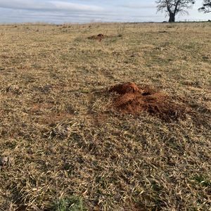 Propriedade a 3 km do asfalto para soja, pecuária ou arroz!