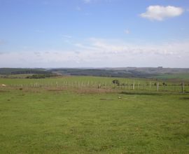 area-rural-cachoeira-do-sul-imagem