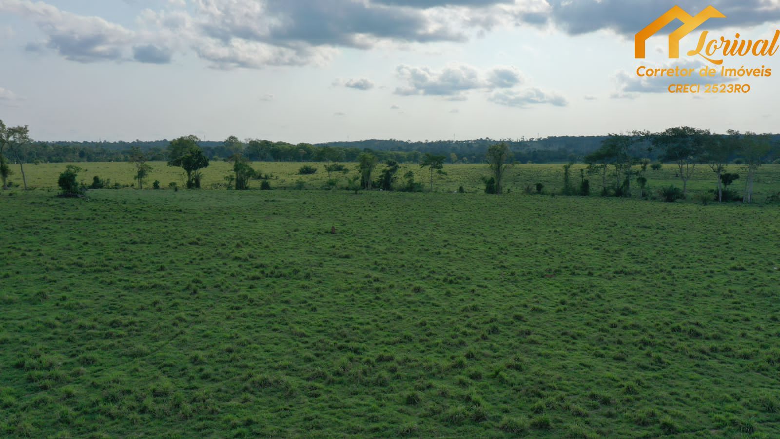 Fazenda à venda, 4580000m² - Foto 8