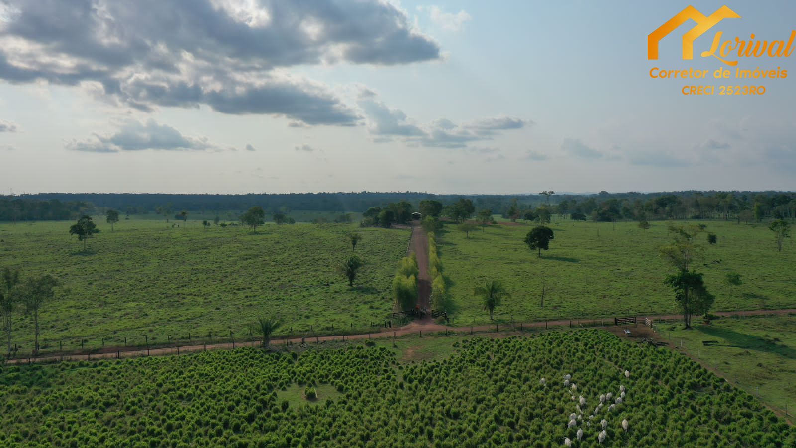 Fazenda à venda, 45800000000m² - Foto 12