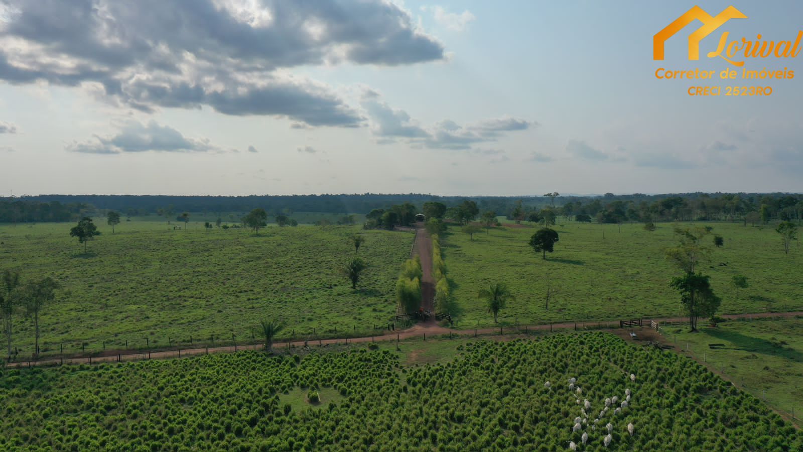 Fazenda à venda, 4580000m² - Foto 12