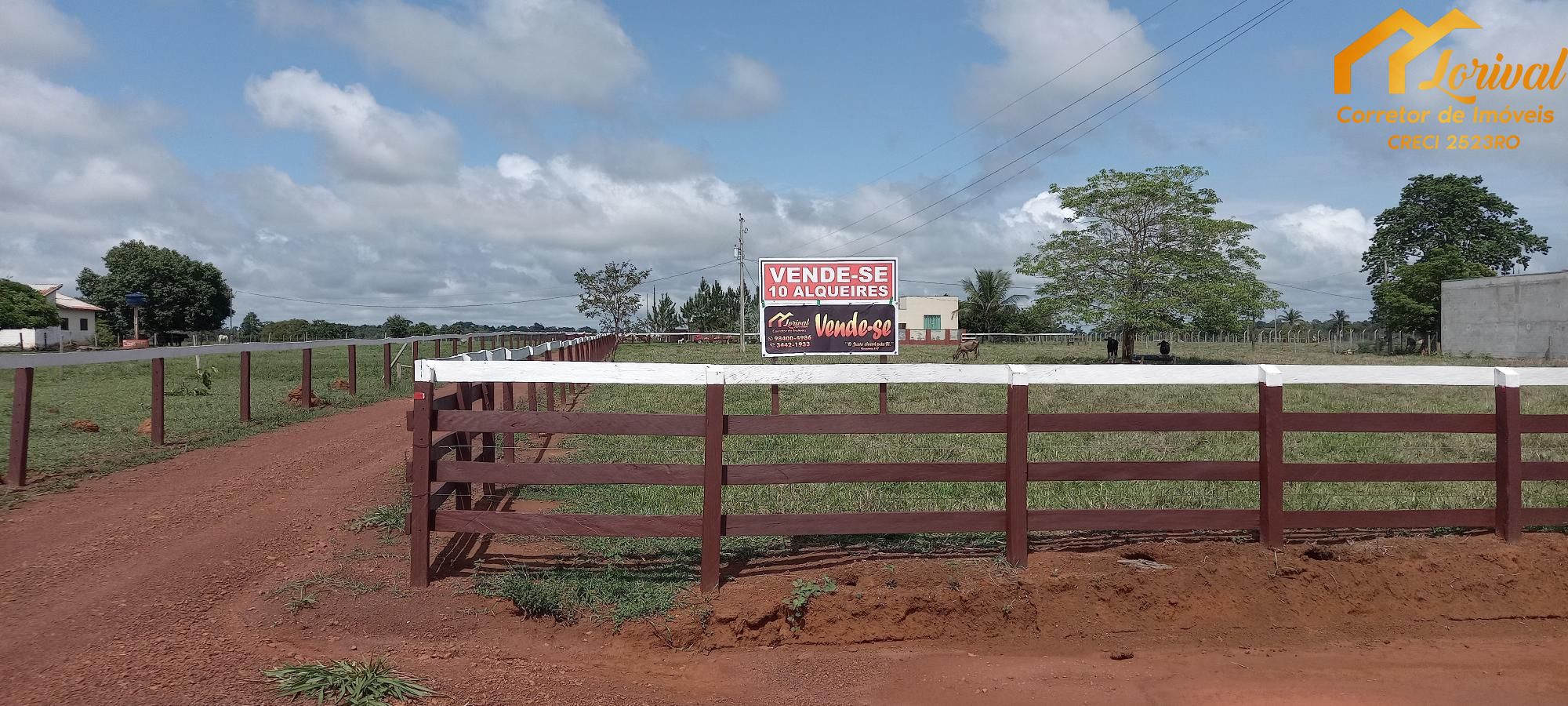 Sítio, 3 quartos, 242000 hectares - Foto 4