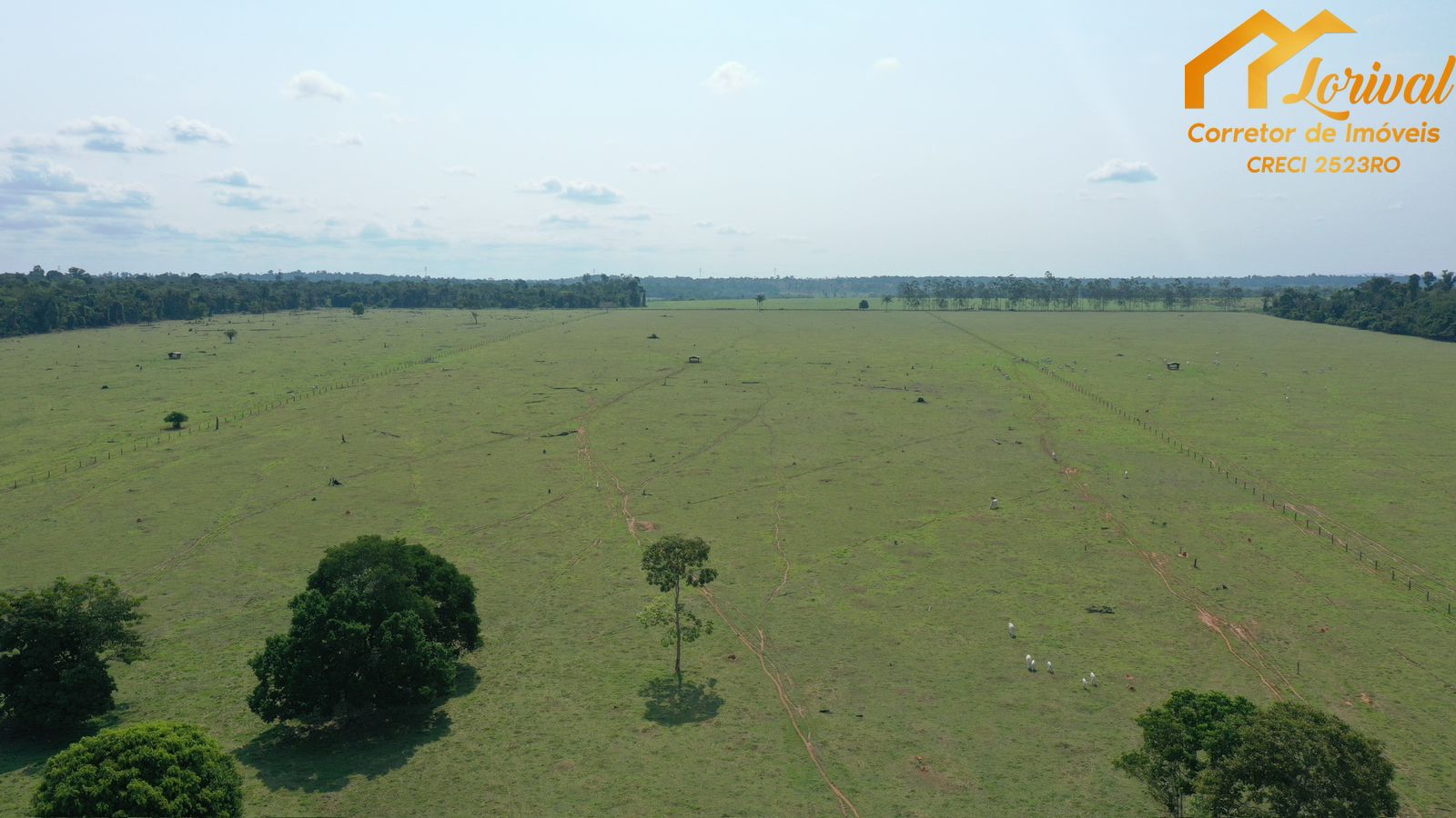 Fazenda-Sítio-Chácara, 204 hectares - Foto 4