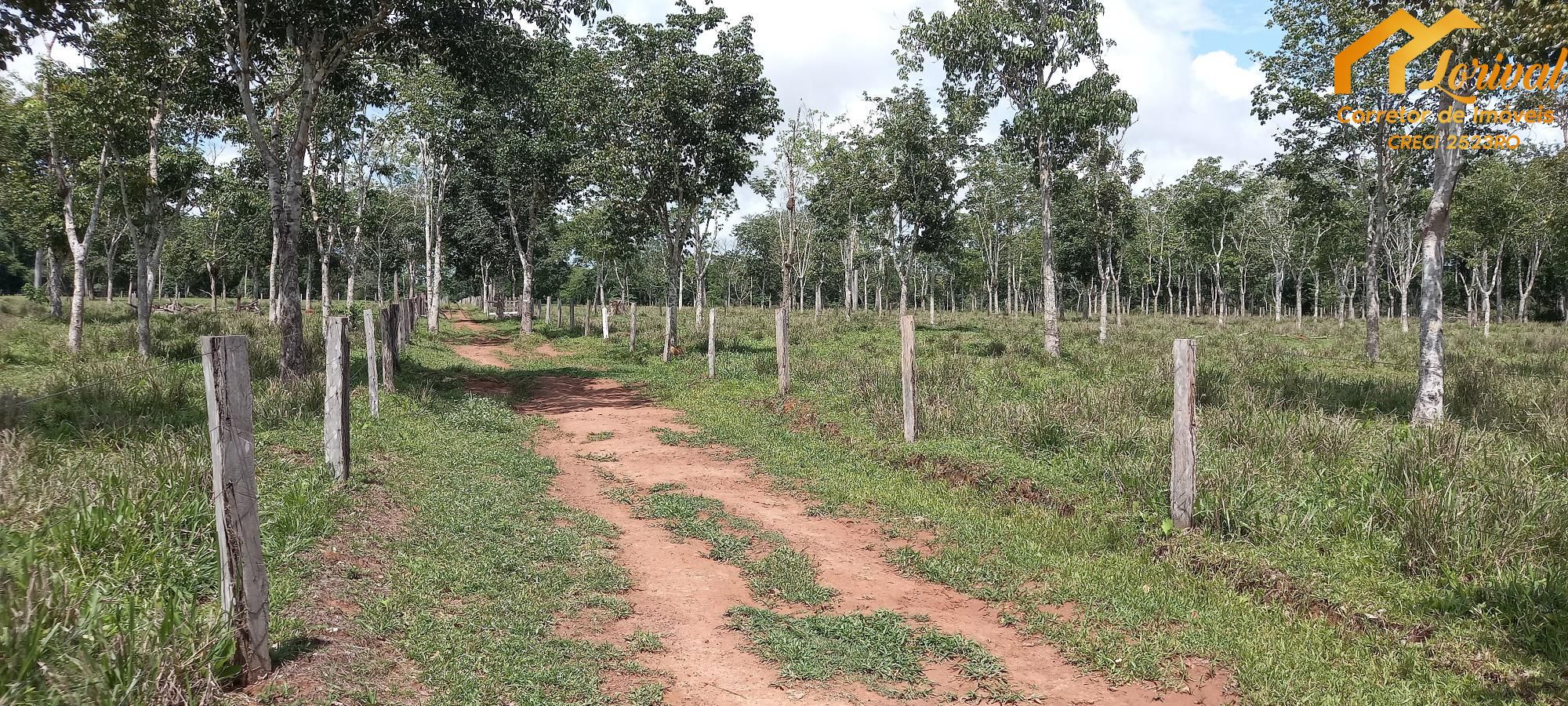 Sítio, 3 quartos, 242000 hectares - Foto 32