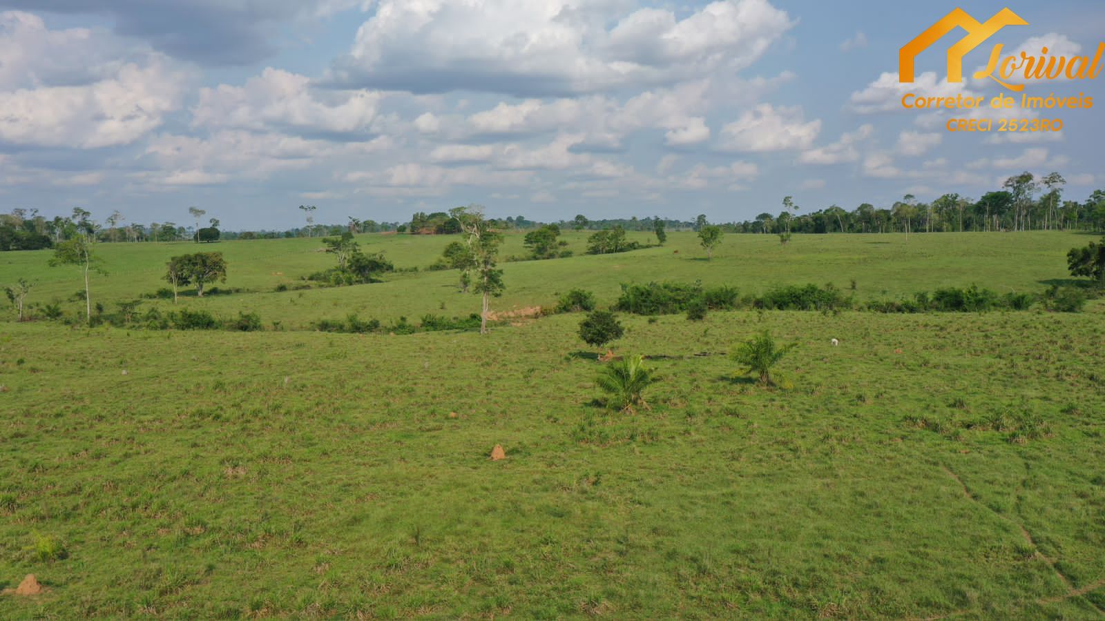 Fazenda à venda, 45800000000m² - Foto 14